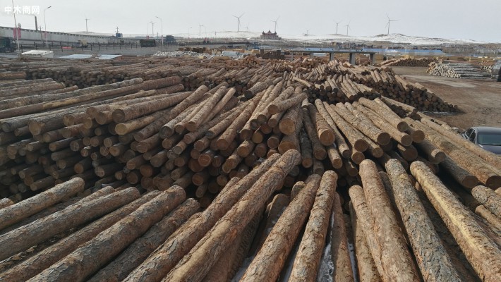 俄罗斯木材进口行情