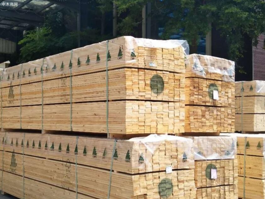 芬兰纸浆木材价格行情