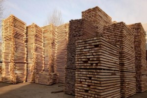 湖南桃源县林业局对木材加工厂开展安全生产检查
