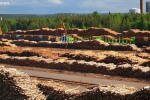芬兰1-5月原木采伐量增长1%