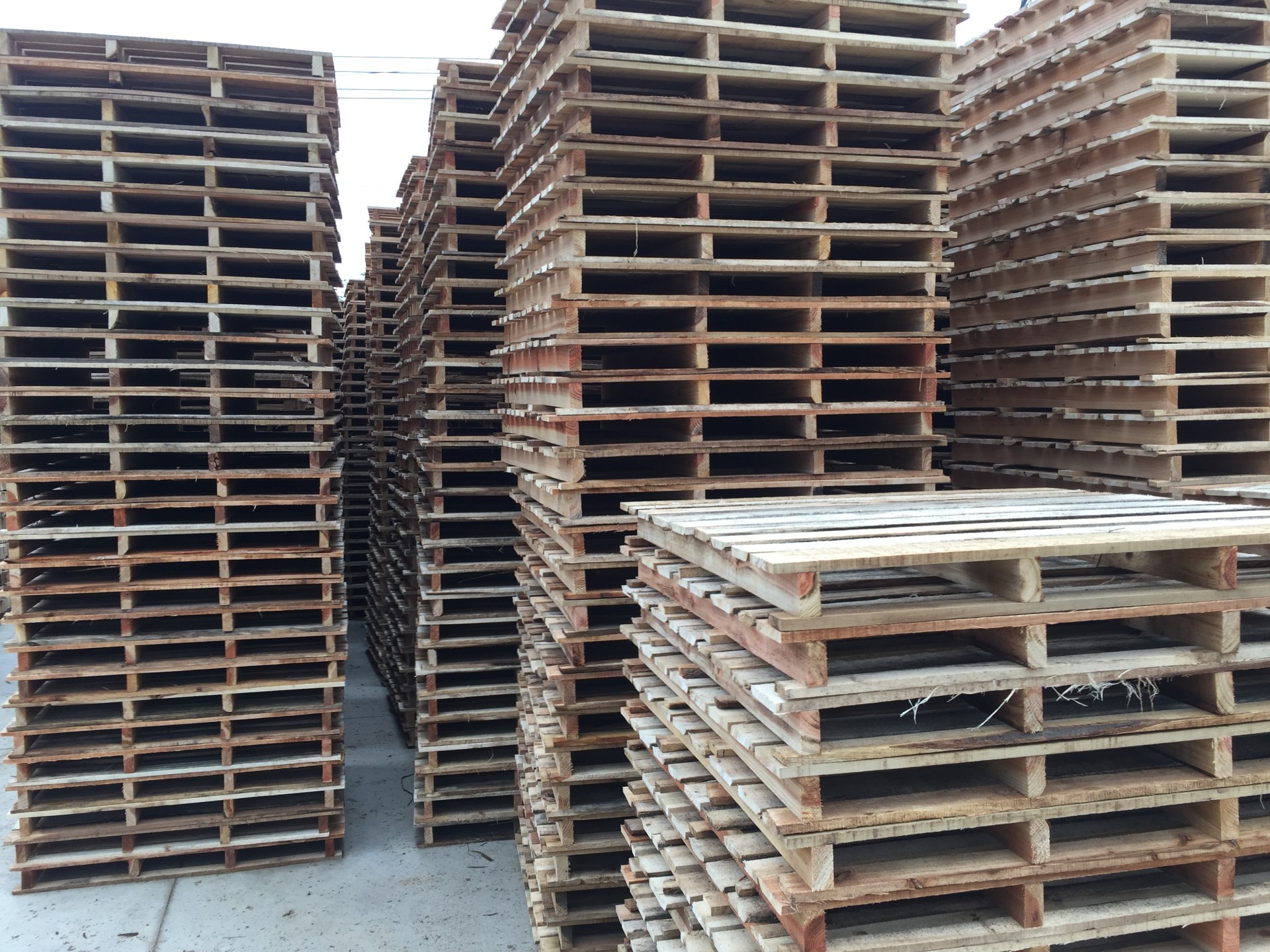 开封市领导调研通许县木制品产业园推进情况