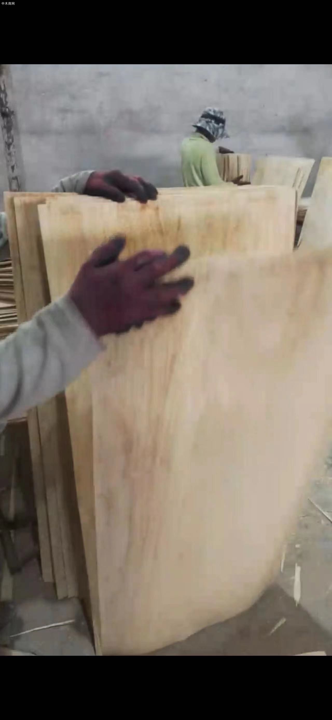 长期供应西南桦橡胶木皮一级二级板皮图片