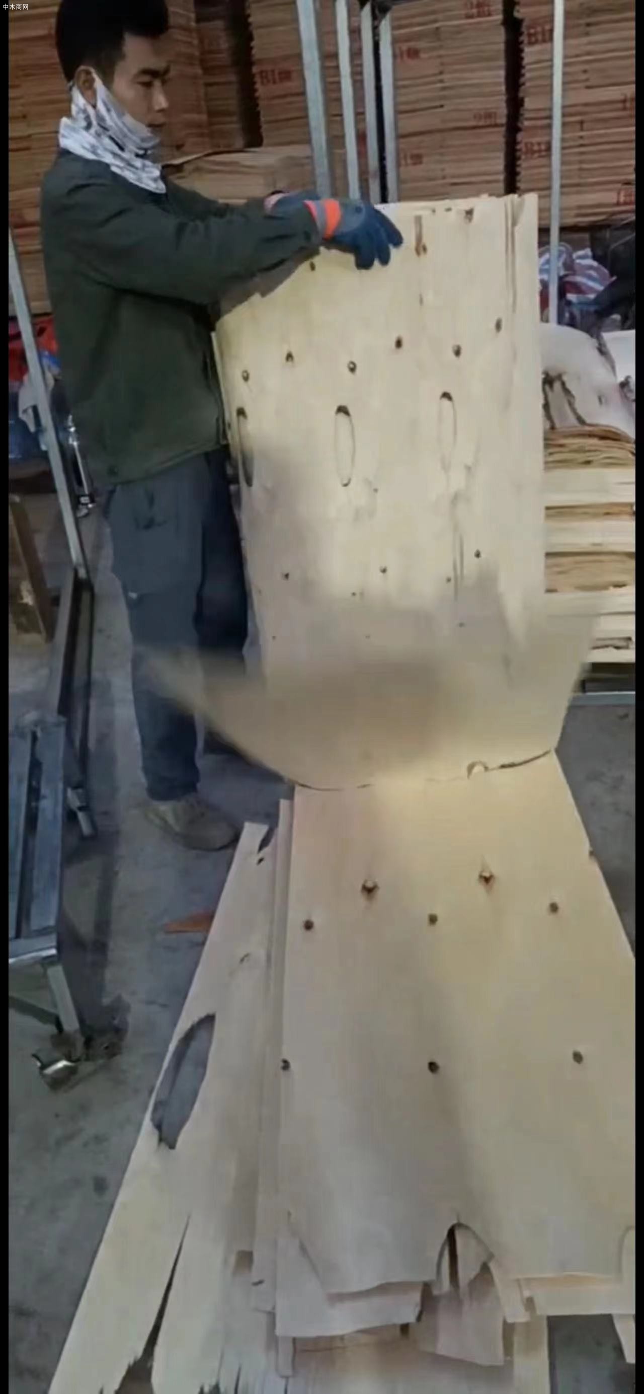 长期供应西南桦橡胶木皮一级二级板皮厂家