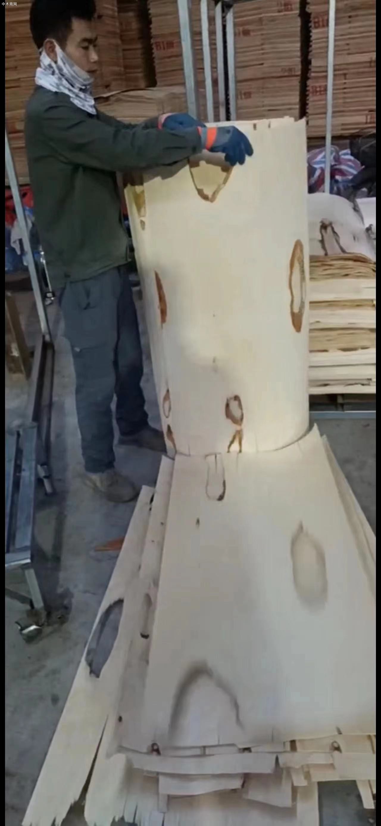 长期供应西南桦橡胶木皮一级二级板皮品牌