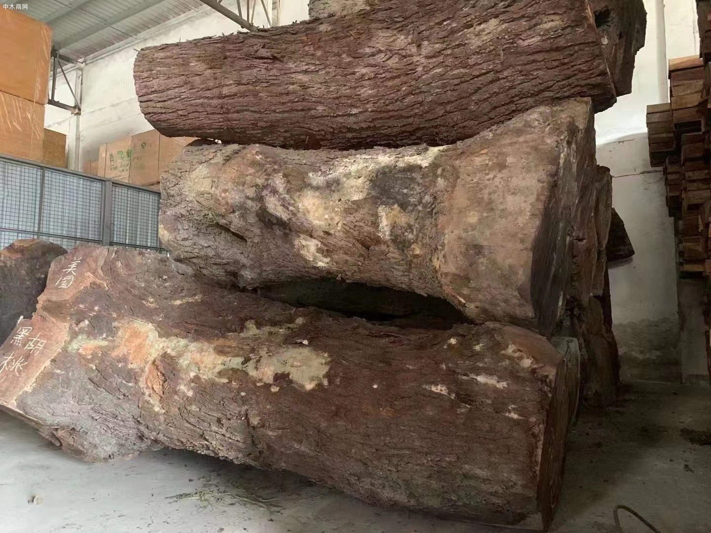 我国从澳大利亚进口木材增长明显
