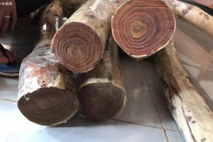 越南林产品出口仅达到计划的36%