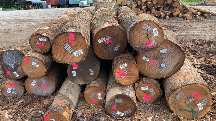 欧洲协会呼吁限制橡木原木出口