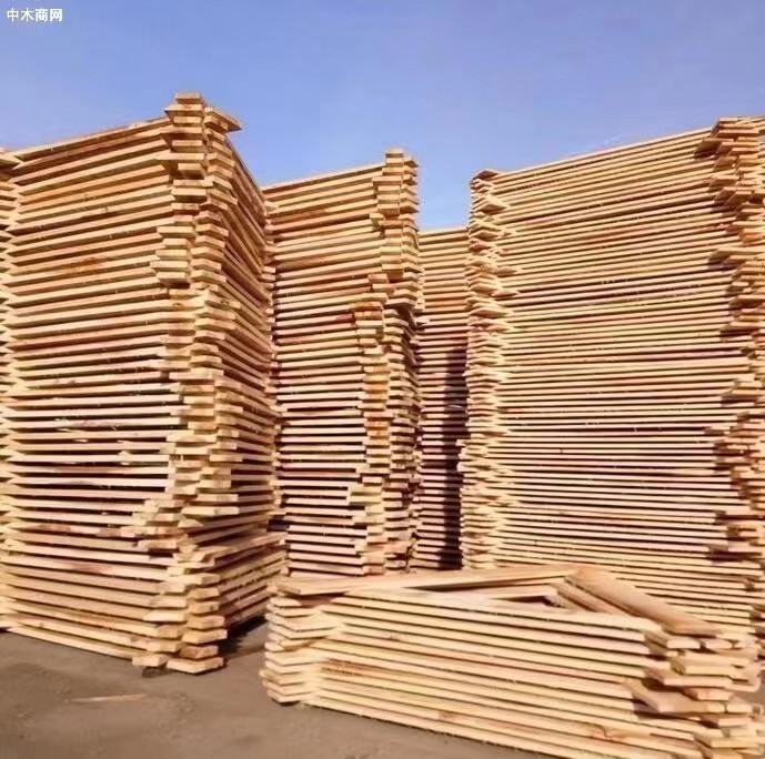 临颍优浩木业白杨木烘干板材生产厂家图片