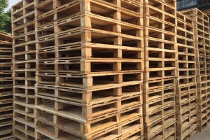 吉林辉南县抚民镇木制品加工产业年产值4500万元