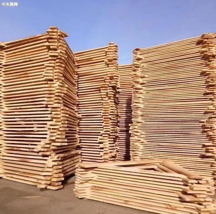 郓城：破解土地制约 推进木材产业转型