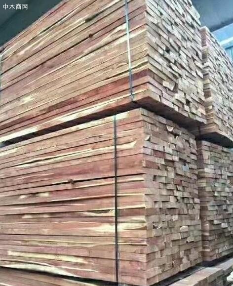 临颍优浩木业苦楝木烘干板材多少钱一吨品牌