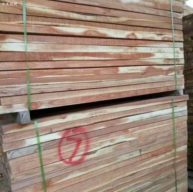 临颍优浩木业苦楝木烘干板材图片高清价格