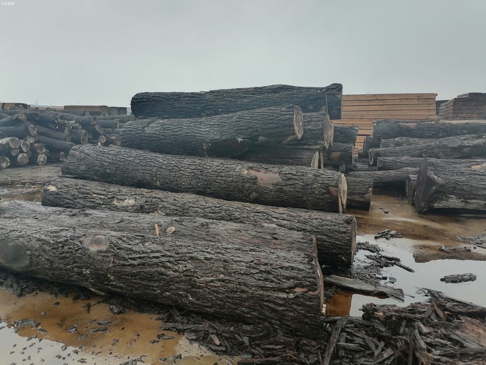 中国原木和木材进口额行情