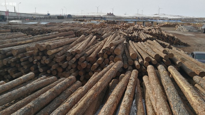 7月俄罗斯对中国的木材供应量增长6.2%