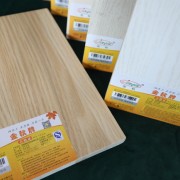 衡阳市金秋木业有限公司