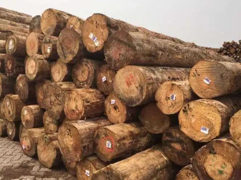 我国进口木材行情