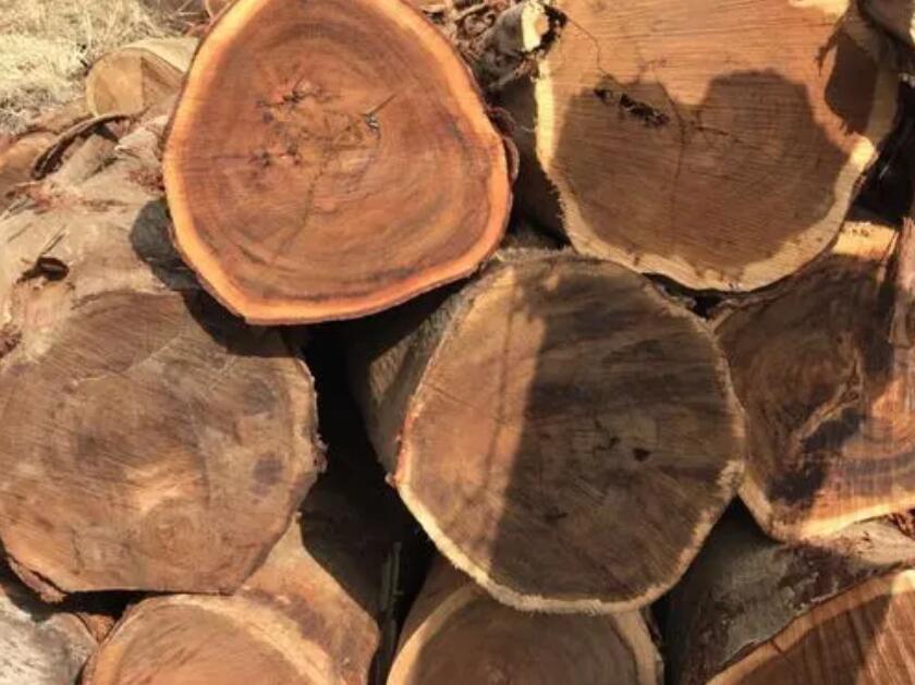 相思木是什么木及相思木的优缺点采购