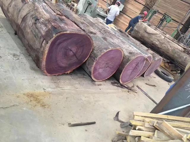 紫心木是什么木头及紫心木的优点和缺点有哪些厂家