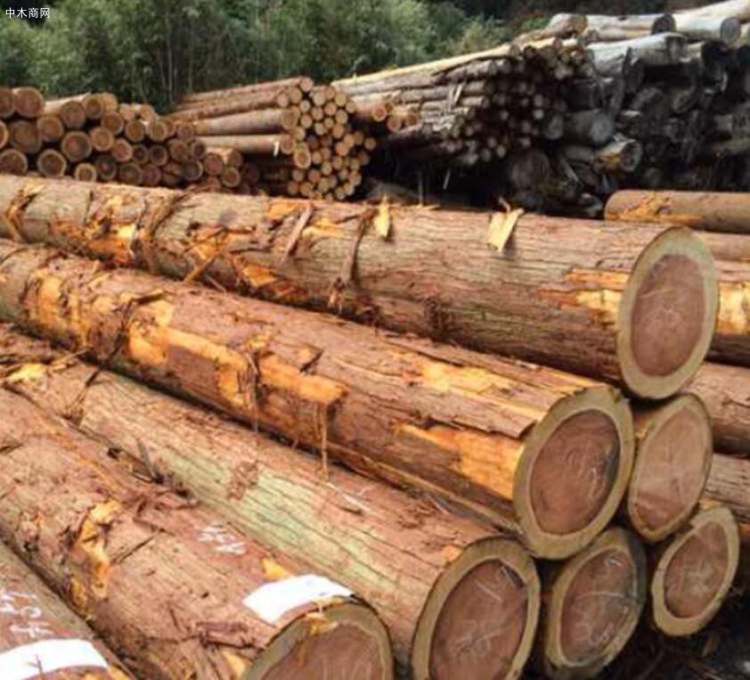 柳杉木是什么木材及柳杉木的优缺点求购