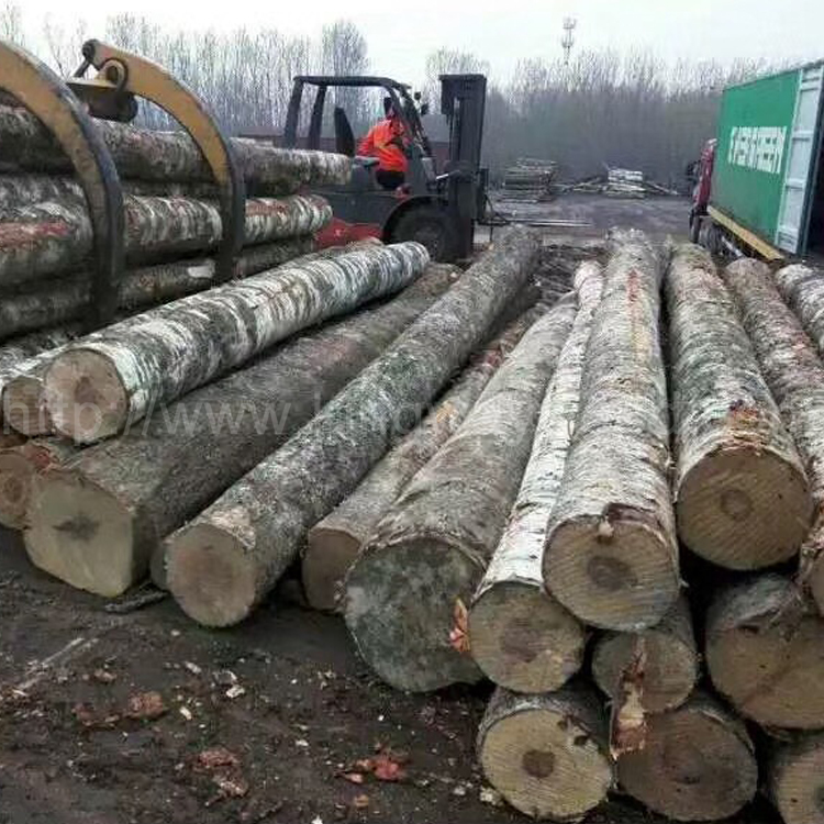 经济形势使爱沙尼亚木材公司处境艰难