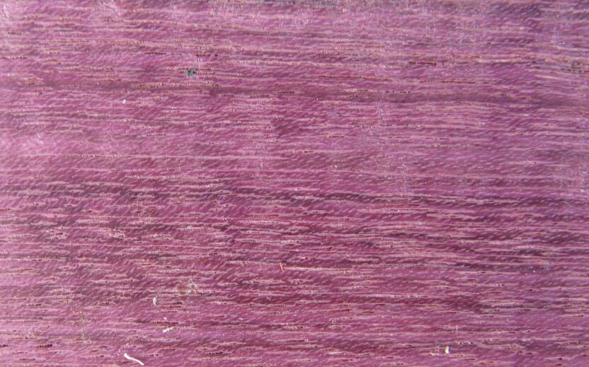 紫心木是什么木头及紫心木的优点和缺点有哪些