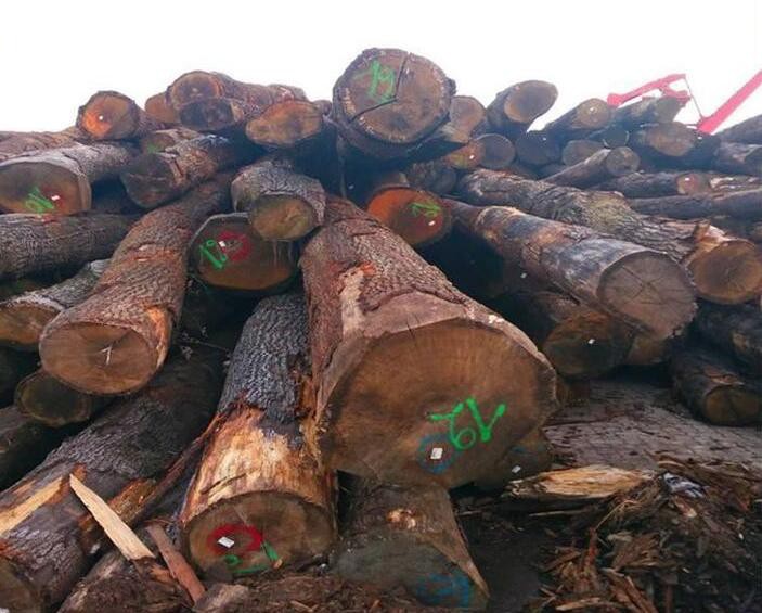 红橡木到底是什么木材及红橡木家具的优缺点有哪些供应