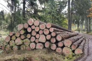 瑞典8月份最终砍伐通知面积增加了20%