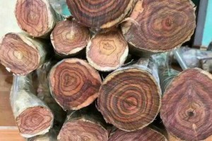 越南木材出口同比下滑25.1%