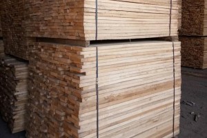 中国林学会理事长调研菏泽木材加工产业发展