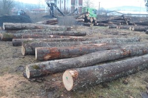 吉尔吉斯坦延长木材和木制品出口禁令