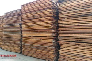 俄罗斯进口桦木板材批发