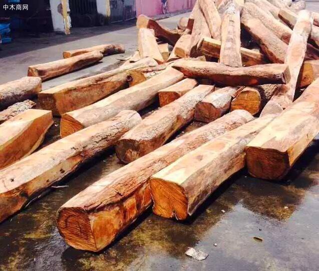 南非木材加工厂火灾持续五天