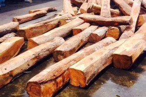 南非木材加工厂火灾持续五天