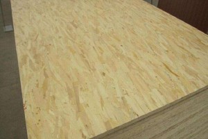 新的OSB板木材生产将在克拉斯诺亚尔斯克启动
