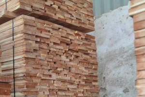 融安县持续优化木材行业税费服务
