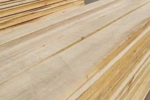 山东郓城县木材加工企业及加工户达5000余家