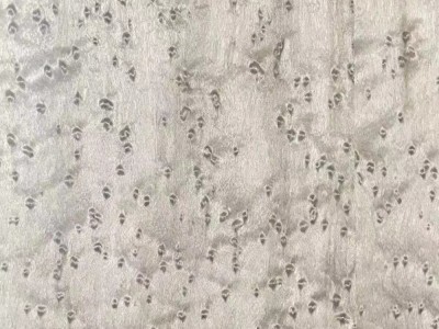 天然染色雀眼木皮高端整木饰面板批发UV涂装板科定实木皮护墙板图2