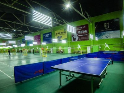 青岛海润佳专业乒乓球场绿色无毒环保健康