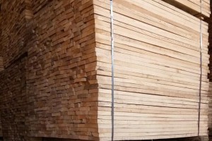 广西合浦全力打造200亿元北部湾经济木材加工园区