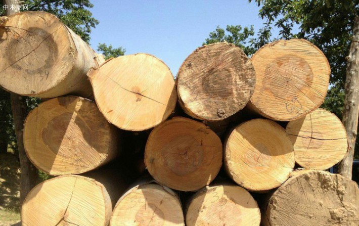 欧盟从美国进口木材行情