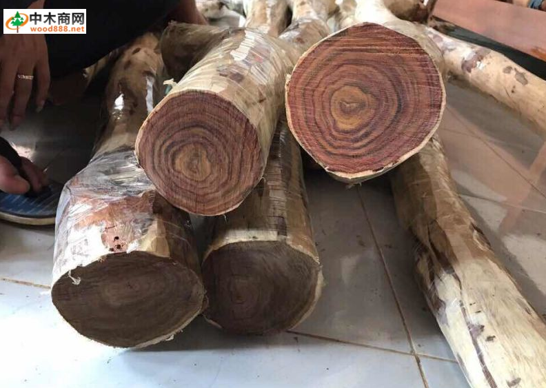 越南从中国进口原木减少