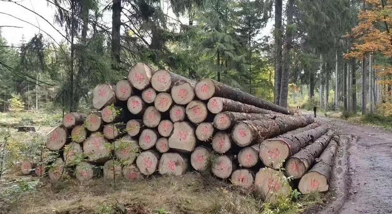 芬兰九月份原木砍伐量下降