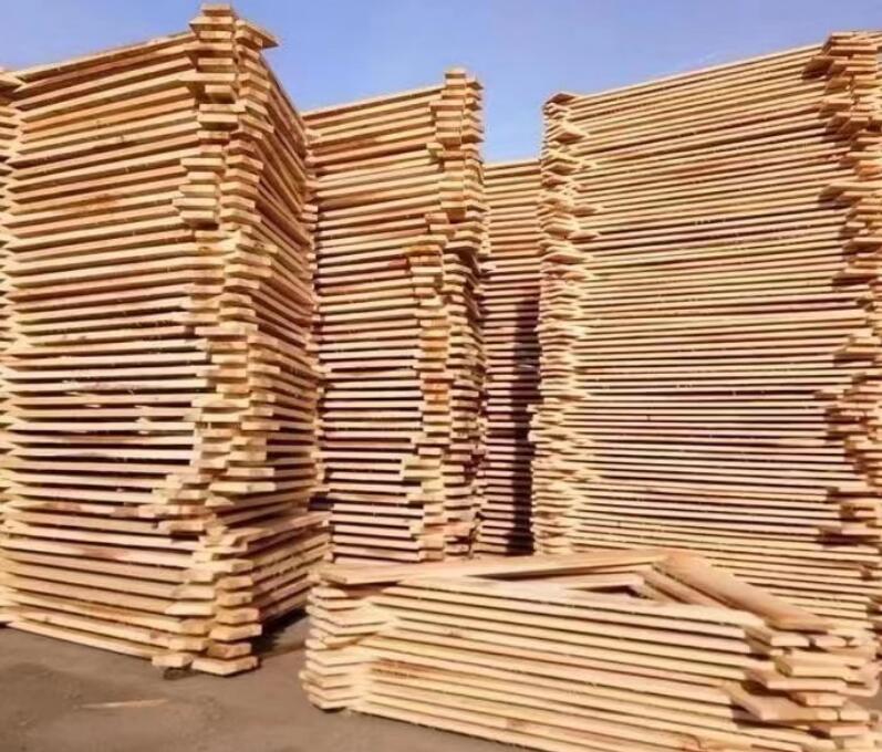 福建漳州市成立木材加工与家具制造产业发展促进会