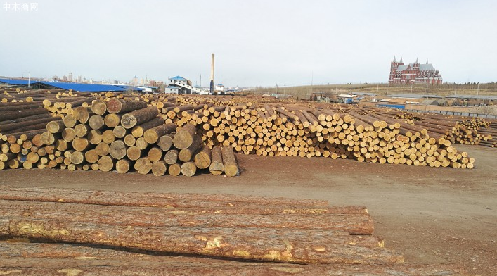 中国从俄西北进口木材增长150%
