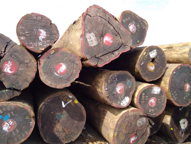 加蓬二季度木材产量行情