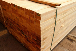 加拿大木材产量行情-2023年11月27日