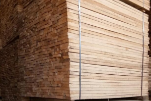 湖北夷陵木材加工企业接受综合执法检查