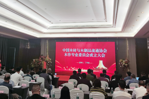 中国木材与木制品流通协会木作专业委员会在南宁成立