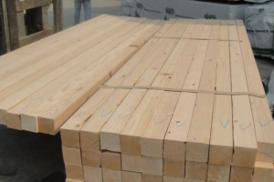 加拿大BC省省宣布修订木材法规限制原木出口