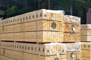 芬兰木材价格高的惊人